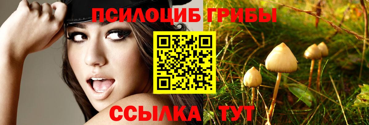 Галлюциногенные грибы MAGIC MUSHROOMS  Псилоцибиновые грибы Psilocybine cubensis  Вход с VPN  Саратов 